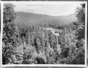 Wawona Meadows in Yosemite National Park, 1900-1930