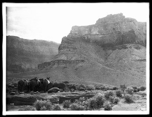 Five saddled horses on the Bright Angel Trail, Angel Plateau, Grand Canyon, 1900-1940