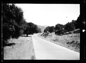 Road in an unidentified canyon