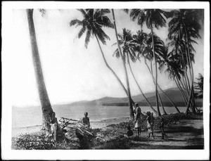 Native Hawaiian family on the beach near some coconut palm trees, Hawaii, 1907