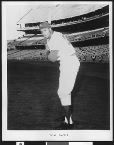 Portrait of the baseball player Tom Davis, ca.1960