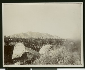 Panoramic view of Riverside, showing Mount Riverdoux, ca.1900