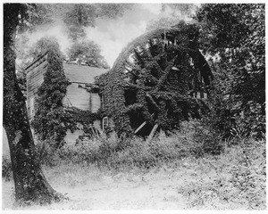 Water wheel developed by Dr. Edward Bale in 1847 in Saint Helena, Napa County, California, ca.1900