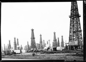 Section of Signal Hill Oil Field, November 19, 1930