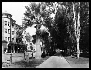 Exterior view of San Jose's St. James Hotel, showing the west end of St. James Park