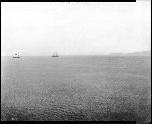 San Pedro Harbor looking north from Dead Man's Island, ca.1900