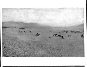 Distant view of Montana cowboys and a herd of cattle, ca.1898