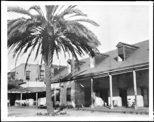 The patio of the Mission Los Angeles, ca.1906