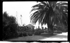 Dirt path near a thatch-roofed gazebo in Santa Monica's Palisades Park, ca.1915