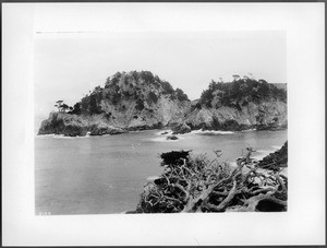 Cypress Point in Monterey, 1895