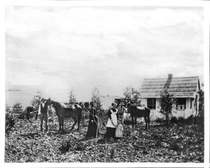 Portrait of a family at the Old Duin (?) Ranch house at the intersection of Western Avenue and Lemon Grove Avenue, Los Angeles, ca.1862-1863