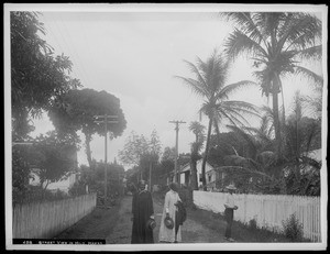 Pedestrians on an unidentified street in Hilo, Hawaii, 1907