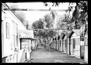 Street scene in Catalina, November 11, 1927