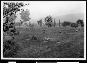 An outdoor view of the grounds of Forest Lawn showing graves with flowers, Glendale, 1930-1950