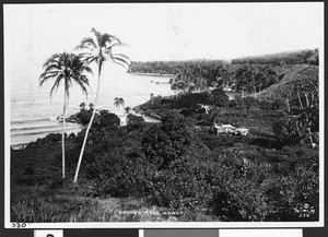 A panoramic view of Onomea Arch, Hawaii, June 1928