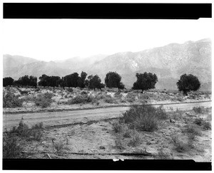 Dirt road running through a ranch east of Palm Springs, ca.1924