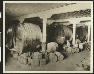 Interior of a winery showing large casks, ca.1910