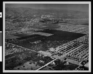 Aerial view of Whittier Downs Unit 5, looking northeast, April 1949