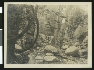 Coldwater Canyon Hot Springs in the San Bernardino Mountains, ca.1900