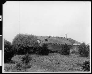 Exterior view of the Palomares Adobe in extreme disrepair, Pomona, 1938