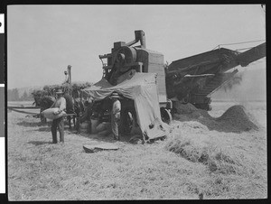 Steam thrashing machine near San Jose, California, ca.1900