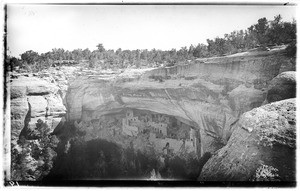 Distant view of The Cliff Palace taken at the top of the cliff, at Mesa Verde (now a national park), Colorado, ca.1900