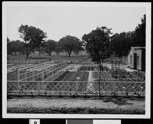 Plotted garden, showing small house at right, ca.1925