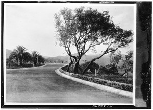 View of a winding lane