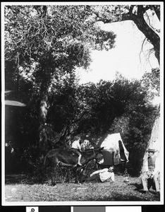 Portrait of Nathan Cole, Jr. at a camp in Tuirca(?), Little Rock