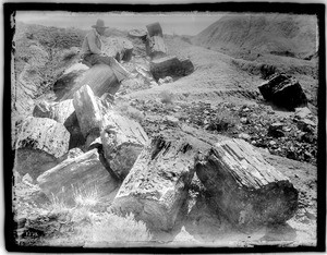 Man sitting on one of a group of petrified logs in the petrified forest of Arizona, ca.1900