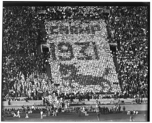 Football stadium display with cards