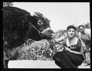 A close-up view of a woman and an ox (bull?)