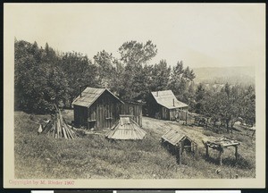 View of shacks at Campoodie in Nevada City, 1907