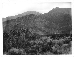 View of Mount San Jacinto from Palm Springs (Riverside County), ca.1900