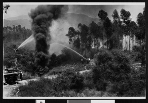 Fire fighters putting out a blaze in the forest, ca.1930