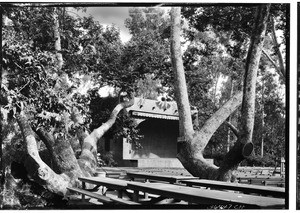 View of the bandstand at Sycamore Grove Park, Los Angeles