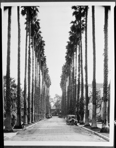 View of Palm Drive, April 1930