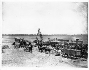 Steam threshing beans on the Centinela Ranch