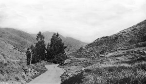 Cahuenga pass, Hollywood, California, ca.1900