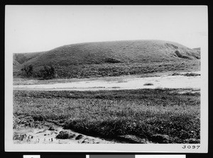 View of a grassy mound along a possible water-flow channel