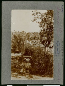 View of Westlake Park showing a twisted wood bridge, Los Angeles, ca.1900-1909