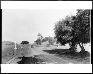 Dirt road heading to the "Independence Tract" development in the San Fernando Valley, ca.1925