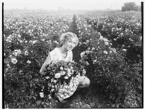 A woman posing with a rose bouquet in a field of roses