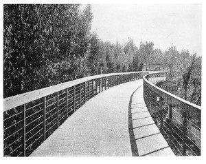 View of Pasadena's elevated bicycle track, ca.1900