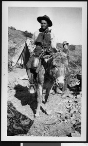 George McAnany riding a pack mule, Mojave Desert, February 1912