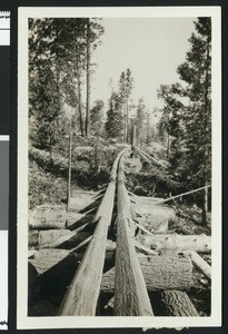 Old logging chute, ca.1900