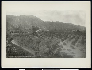 View of orange groves near a homestead in Pasadena from Sierra Madre Villa, ca.1890-1910