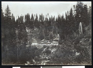 View of what appears to be a resort at Shasta Springs in Shasta County