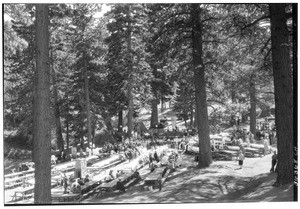 Large gathering of people at the picnic grounds at Big Pines Recreational Camp