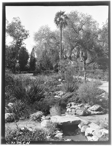 Lush park with a stream running through